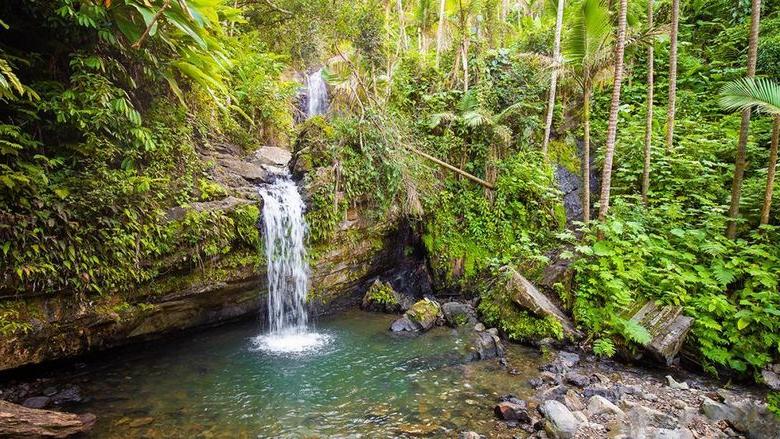 Juan Diego Falls at el Yunque rainforest Puerto Rico