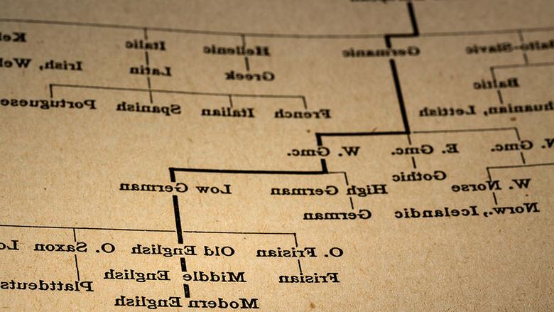 Flowchart of languages